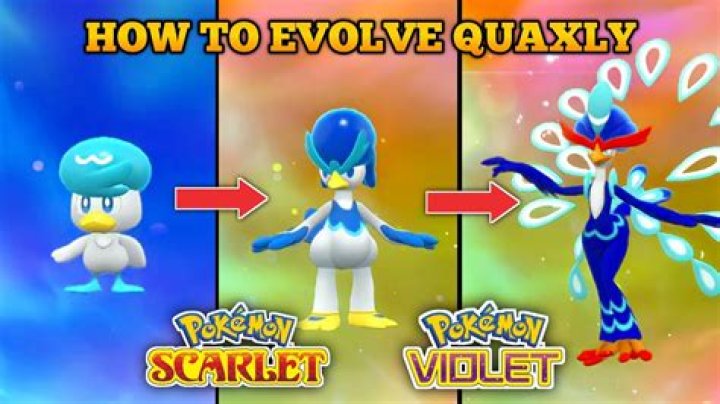 Why You Should Pick Quaxly in Pokemon Scarlet and Violet