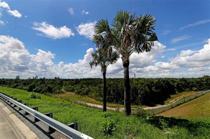 	Will American Dream Miami mega-mall ever become reality?	