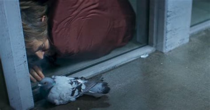 Willem Dafoe is a thief locked in an apartment and losing it in Inside