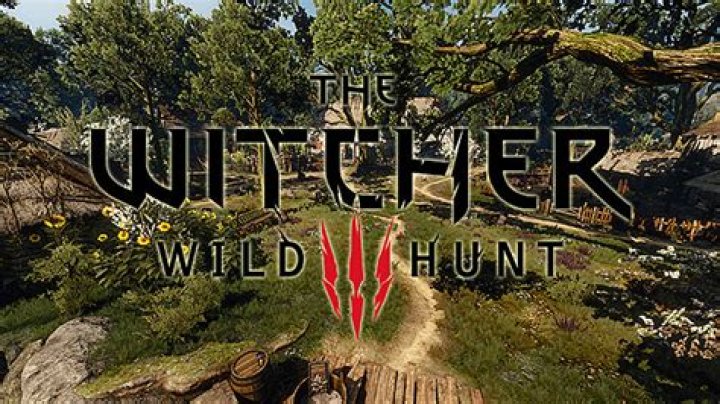 Witcher 3: Hearts of Stone – Without a Trace Quest Walkthrough
