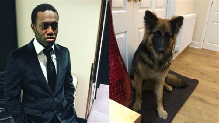 YouTuber Deji ordered to have dog put down after losing court battle