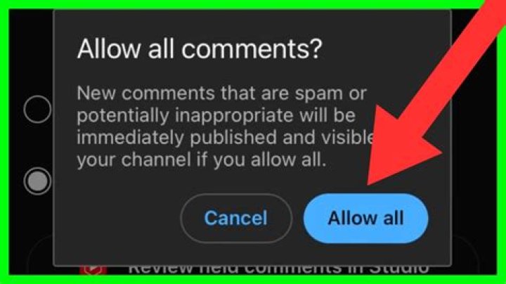 YouTuber told her comments are disabled because of her 