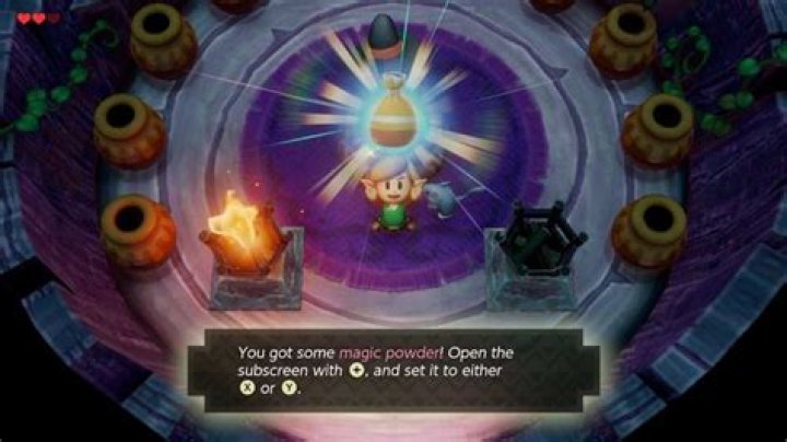 Zelda Link’s Awakening: How to Get Past Raccoon in Mysterious Forest