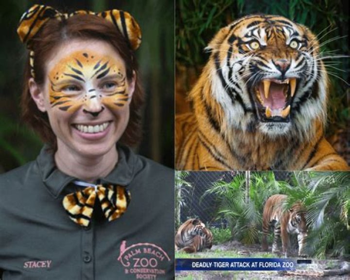 	Zookeeper died from neck injury in tiger attack at Palm Beach Zoo, medical examiner says	
